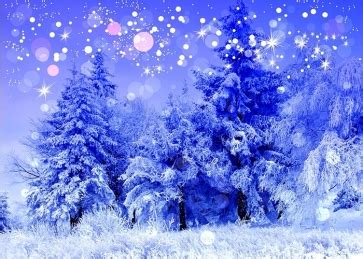 Snow Covered Forest Winter Wonderland Backdrop Christmas Party ...