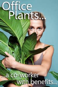 4 Advantages of Indoor Plants | Plant Interscapes