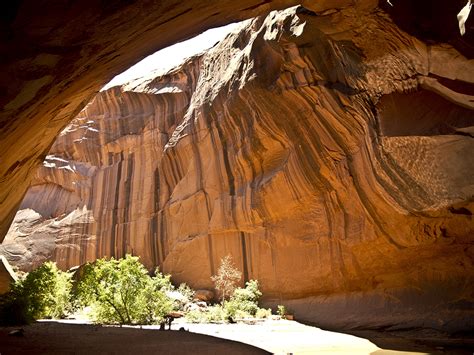 Golden Cathedral - Grand Staircase | Grand Canyon Trust