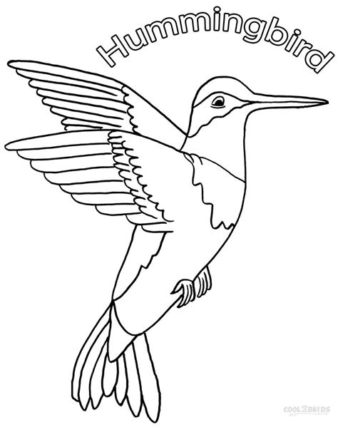 Printable Hummingbird Coloring Pages For Kids | Cool2bKids