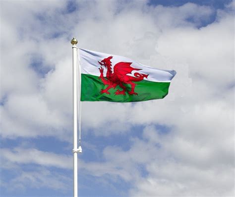 Welsh Cymru flag | Harrison Flagpoles