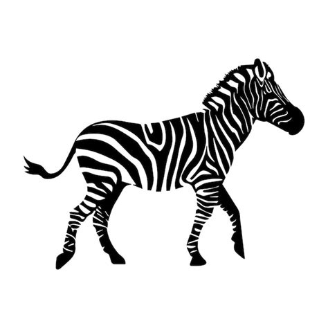 Premium Vector | A zebra vector silhouette