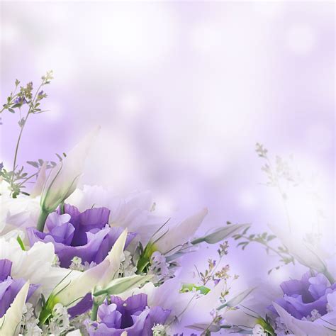 Terms & Conditions - Purple Violets Florists - Bristol Next Day Delivery | Funeral background ...
