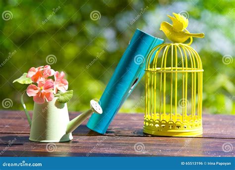 Decorative Bird Cage, Book and Flowers in Can Stock Photo - Image of green, flowers: 65513196