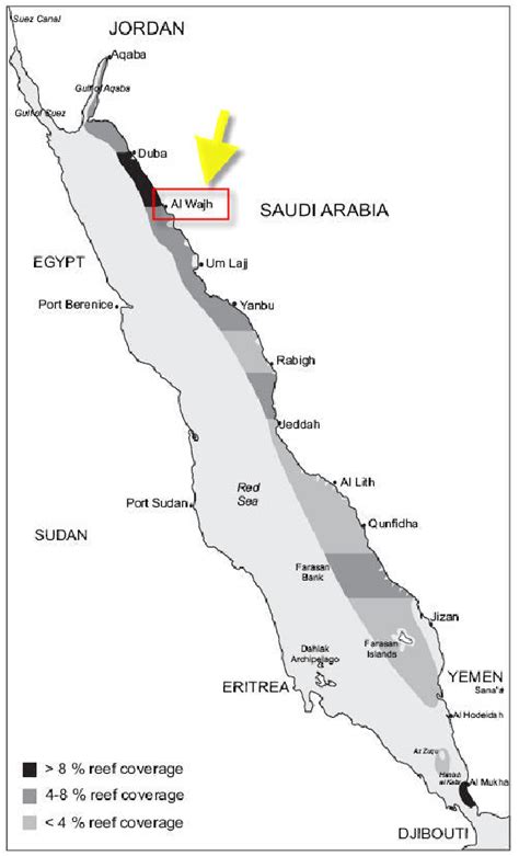 Egypt Red Sea Coral Reefs