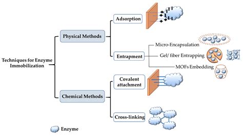 Enzyme-Mediated Wastewater Remediation | Encyclopedia MDPI