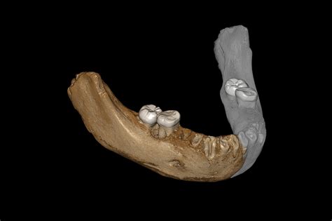 Denisovan Jawbone Discovered in a Cave in Tibet - The New York Times - Yama Tkoi