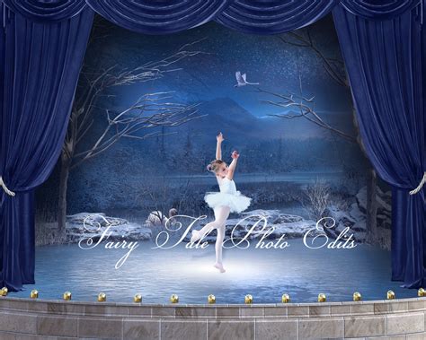 Swan Lake Ballet Backdrop Ballet Swan Lake Ballet Backdrop - Etsy