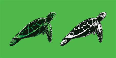 Hand-drawn green turtle vector illustration 3311877 Vector Art at Vecteezy