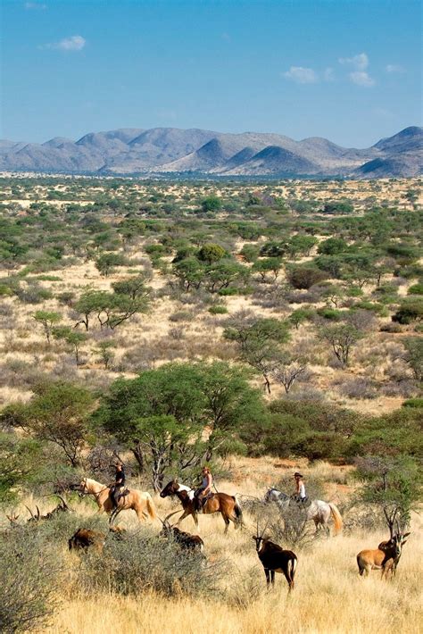 Ride among the dunes in #SouthAfrica's #Tswalu #Kalahari Reserve | Luxury safari, Safari, Africa