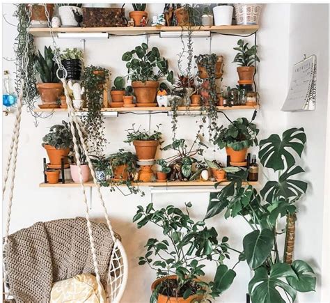 Aesthetic Explorations: Indoor Plants – Aesthetics of Design