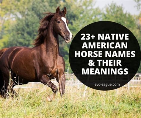 23+ Native American Horse Names & Meanings - Horse Name Generator