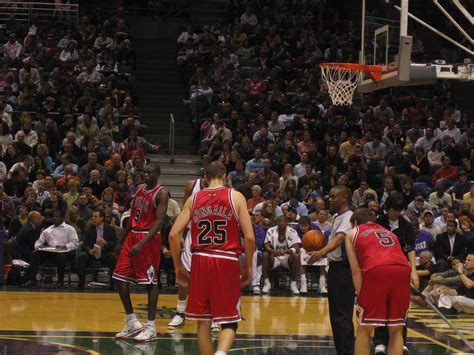 File:Darius Songaila Chicago Bulls.jpg - Wikimedia Commons
