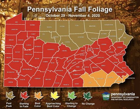 Here’s When Pa. Will Reach Peak Fall Foliage in 2020