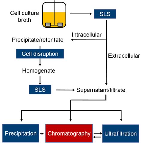 Biopharmaceuticals recovery and purification steps (downstream... | Download Scientific Diagram