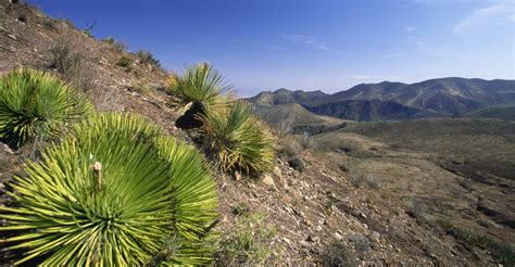 el-quemado-sacred-mountain-in-mexico - San Luis Potosi Pictures - San ...