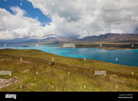 Lake Tekapo in New Zealand Stock Photo - Alamy