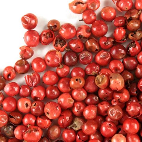 Whole Pink Peppercorn ~ Buy Bulk Pink Peppercorn