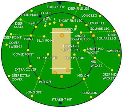 Start Cricket: Cricket Ground Field Positions