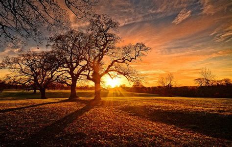 Autumn Sunset | Fall trees photography, Autumn landscape, Sunset