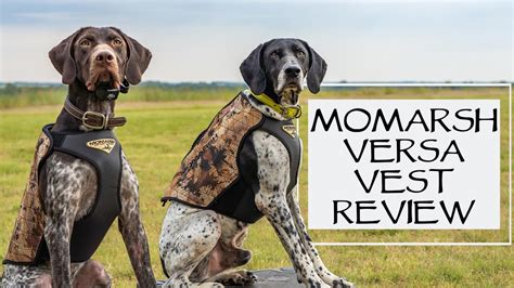 MoMarsh Versa Vest Initial Reactions - 2020 BEST Dog Vest? - YouTube