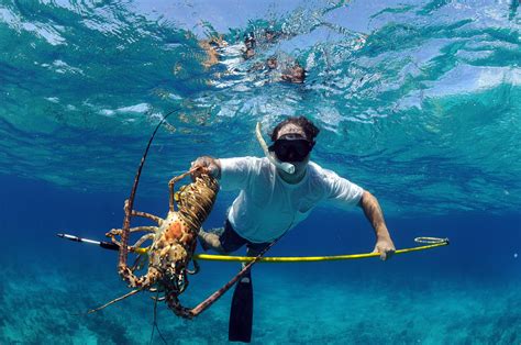 Spearfishing for Beginners – The Complete Guide