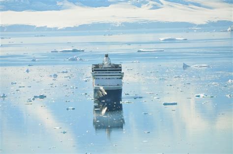 Princess Cruises Antarctica: 5 Reasons You Must Go | Green Vacation Deals