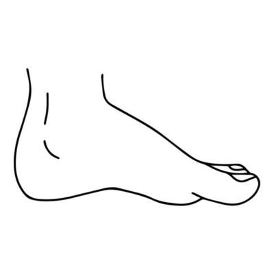 Foot Outline Vector Art, Icons, and Graphics for Free Download