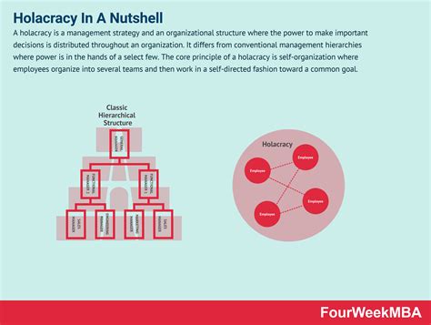 What Is Holacracy And Why It Matters In Business - FourWeekMBA