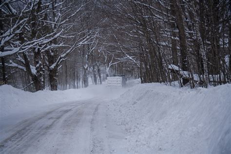 Vermont winter storm - Living with Gotlands