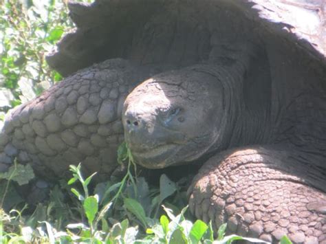 Galapagos family vacation, hotel based | Responsible Travel