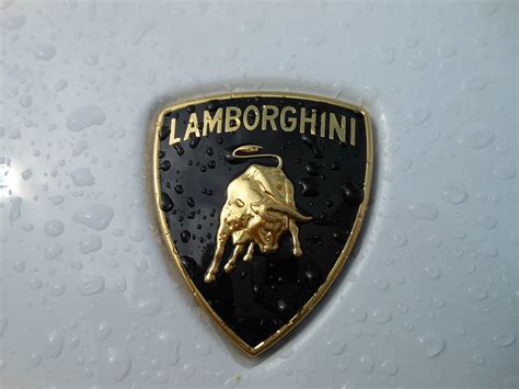 HD wallpaper: close-up photography of Lamborghini emblem, white, logo ...