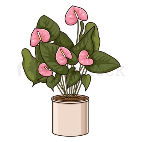 Cartoon Pink Anthurium Plant Vector Stock Clip Art Illustration - FriendlyStock