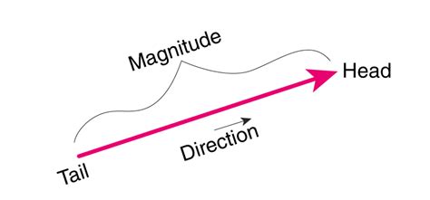 Magnitude of a Vector Definition, Formulas and Problems