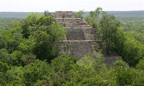 Yucatan Wildlife: Calakmul Biosphere Reserve