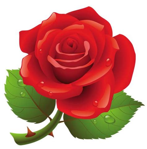 Roses red rose clipart cute clipart – Clipartix