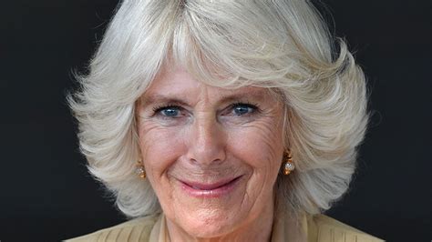 The Duchess of Cornwall just wore a ra-ra dress and it's pure glam ...