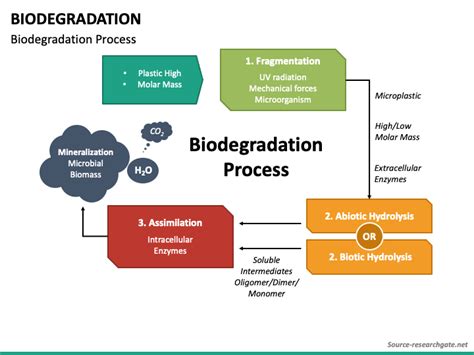 Biodegradation PowerPoint and Google Slides Template - PPT Slides