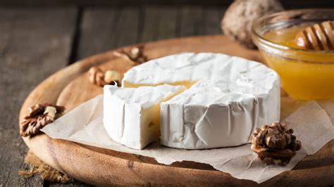 ARCHAEOLOGY OF CHEESE - Camembert - Chef's Mandala