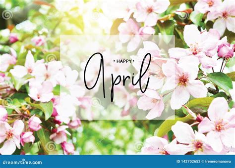 Inscription Happy April. Floral Natural Background Spring Time Season ...