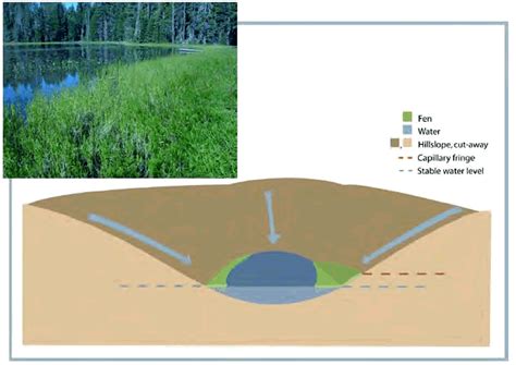 Types of Fens