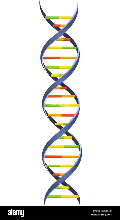 DNA Blood Chromosome Chain Helix Model Science Molecular Spiral structure vector illustration ...