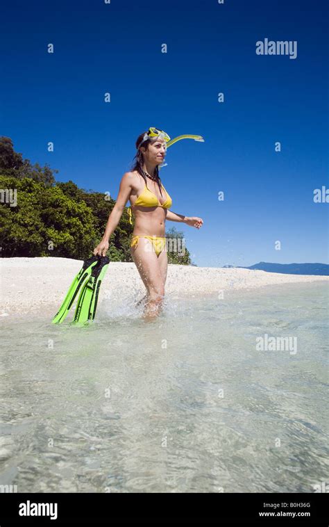 Island snorkelling - Cairns, Queensland, AUSTRALIA Stock Photo - Alamy