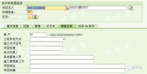 PS CJ20N 项目定义属性字段增强-CSDN博客