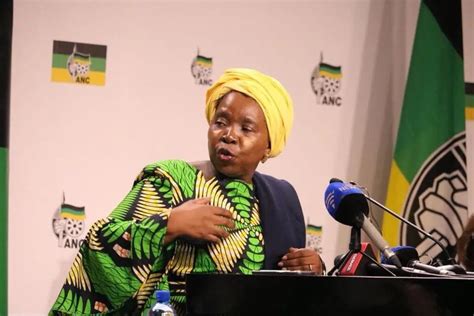 Nkosazana Dlamini-Zuma Biography, Profile, Age, Speech,Net Worth