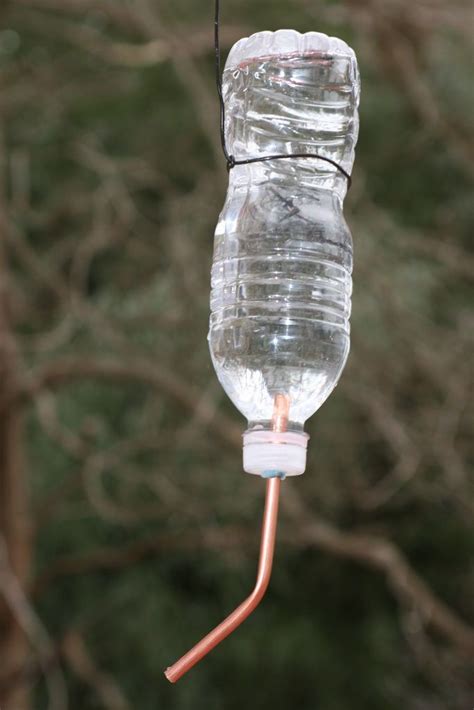 Water Bottle Hummingbird Feeder | Humming bird feeders, Homemade ...