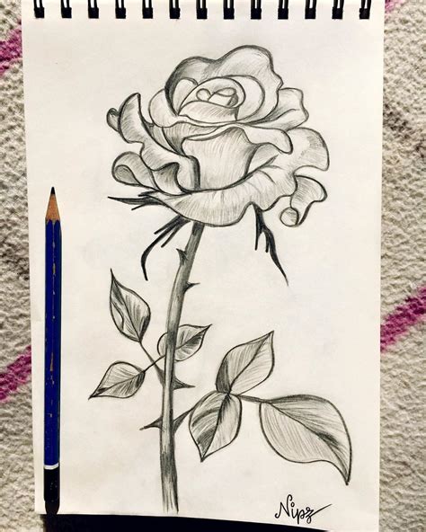 Cool Easy Flower Drawing Ideas | Best Flower Site