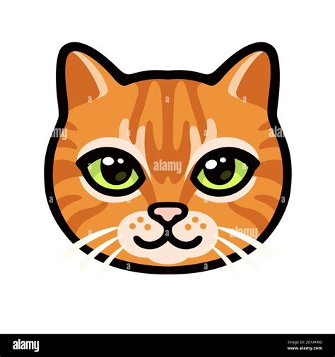 Ginger marmalade cat Cut Out Stock Images & Pictures - Alamy