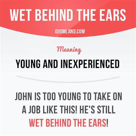 Definition Of The Idiom Wet Behind The Ears - DERIFIT