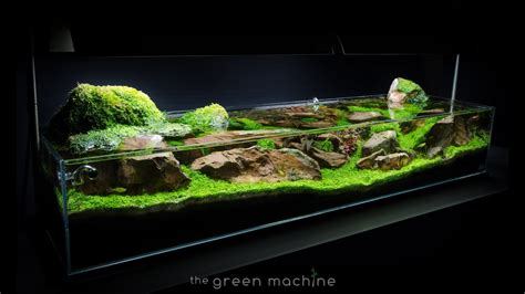 Aquascape Tutorial Guide: 'Continuity' by James Findley & The Green Machine - YouTube